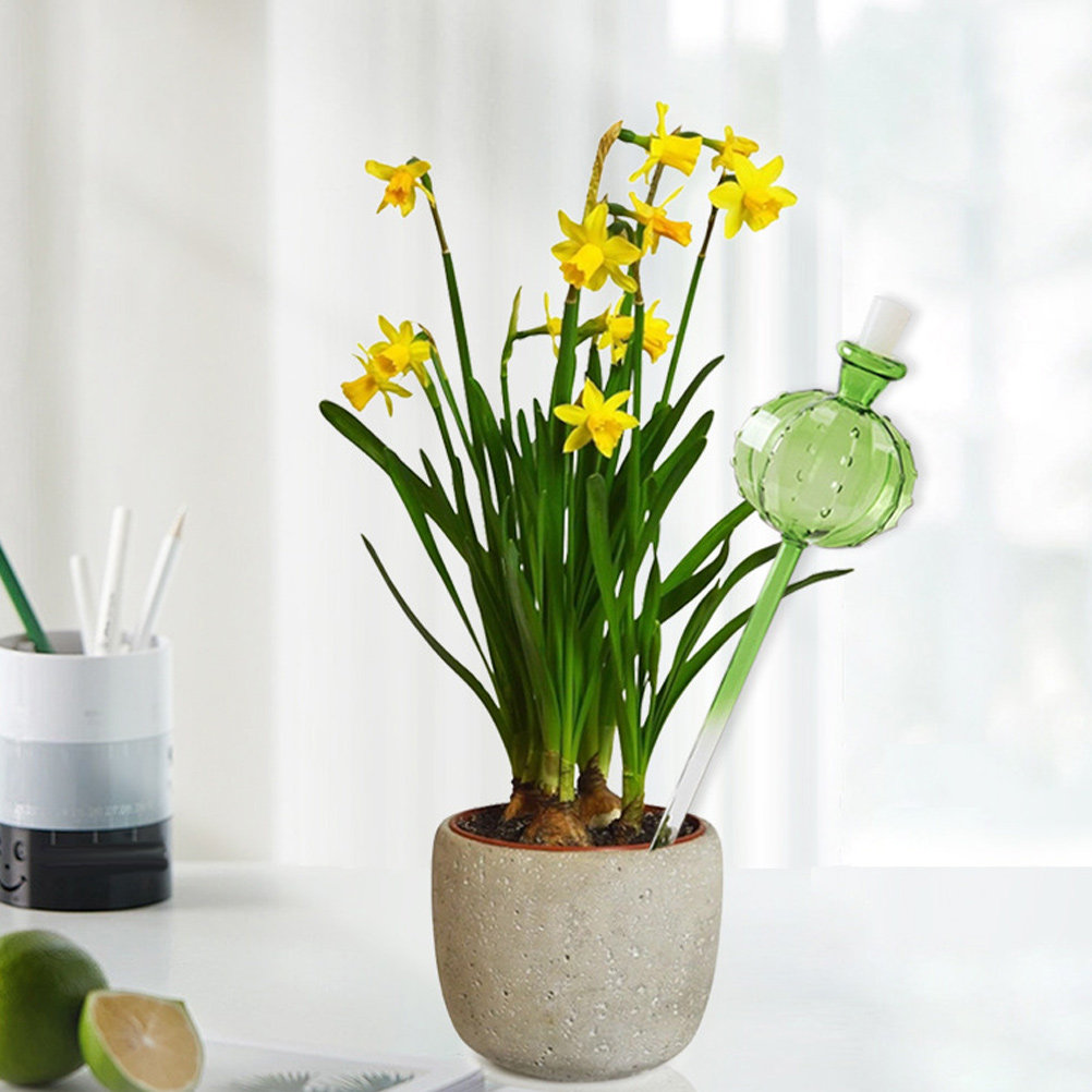 Automatic Plant Waterer - Automatic Self Spike for Indoor Outdoor