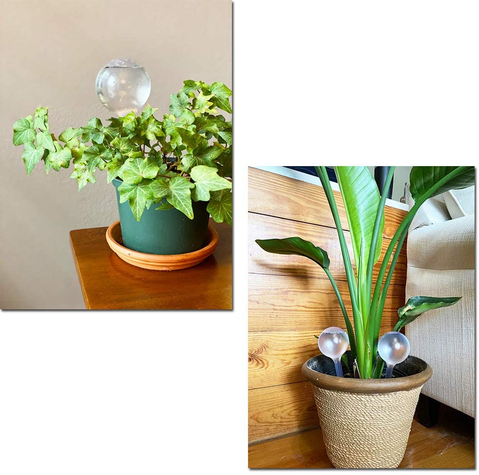 Automatic Plant Water Feeder S - Automatic Plant Waterer review and price