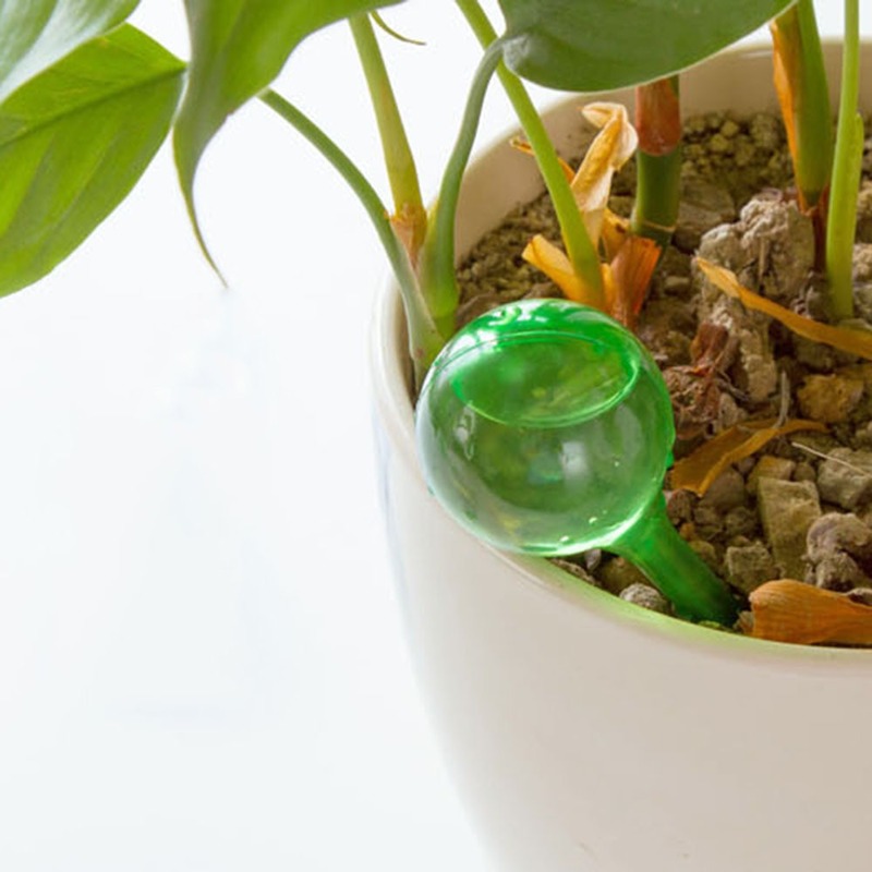 Automatic Plant Water Feeder S - Automatic Plant Waterer review and price
